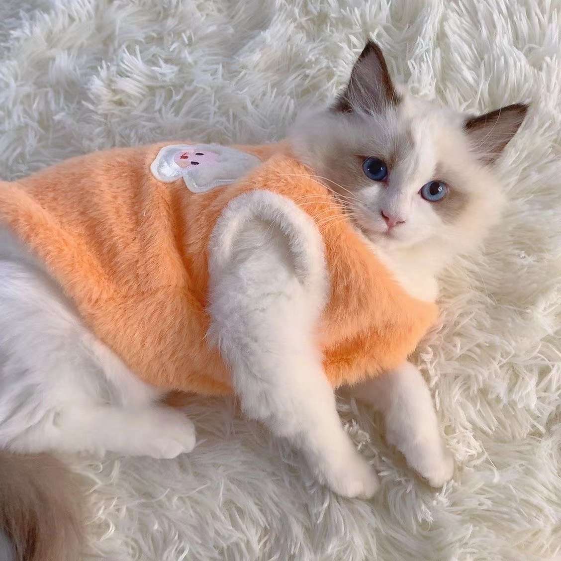 Cat Clothing Recovery Suit | Fluffy Healing Cat Post-Op Wear