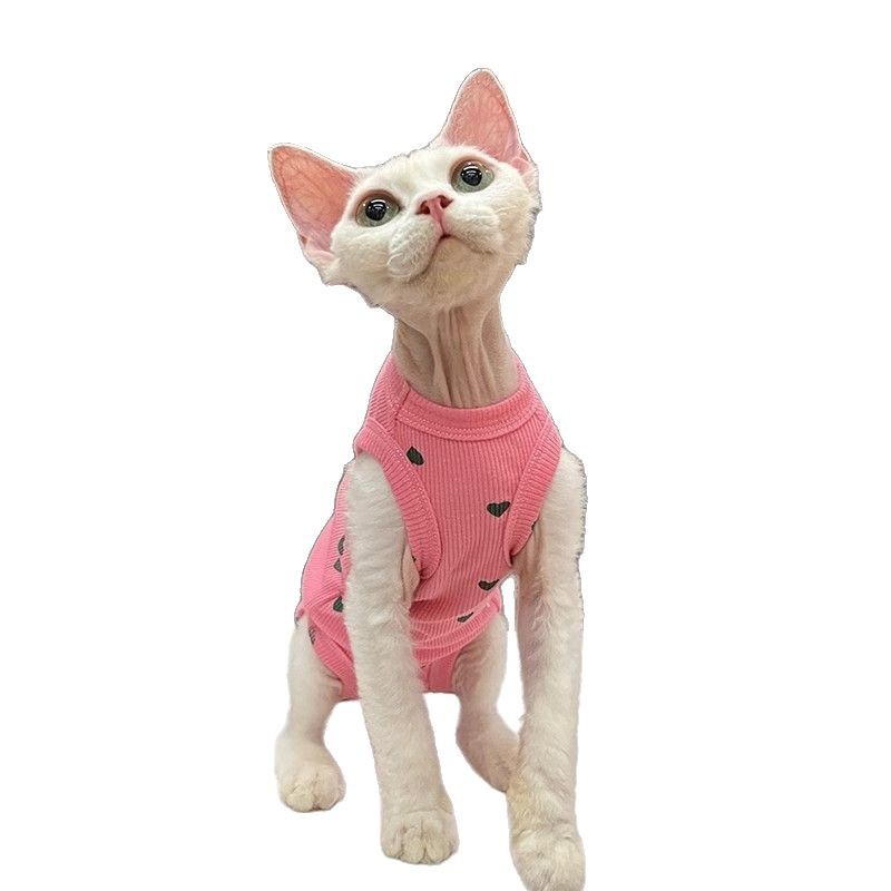 https://fulmo-img-server.com/nekohapi/3968afca-e305-422e-b8d7-05b92e82fa77.jpg