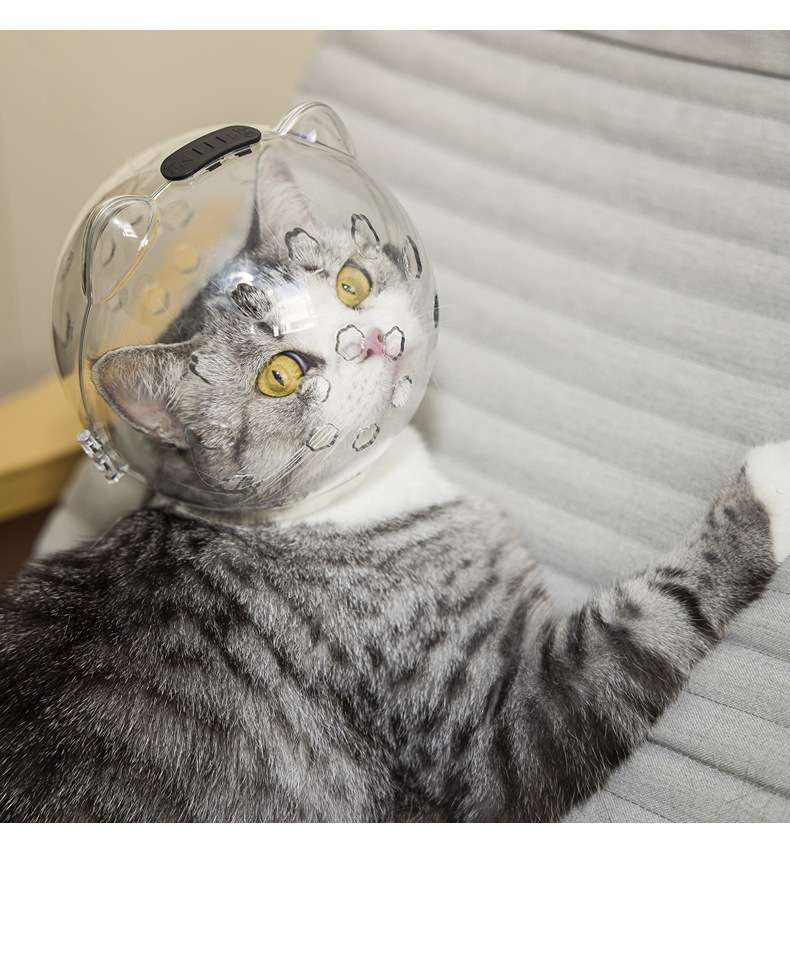 猫 エリザベスカラー | 宇宙飛行士風猫用エリザベスカラー