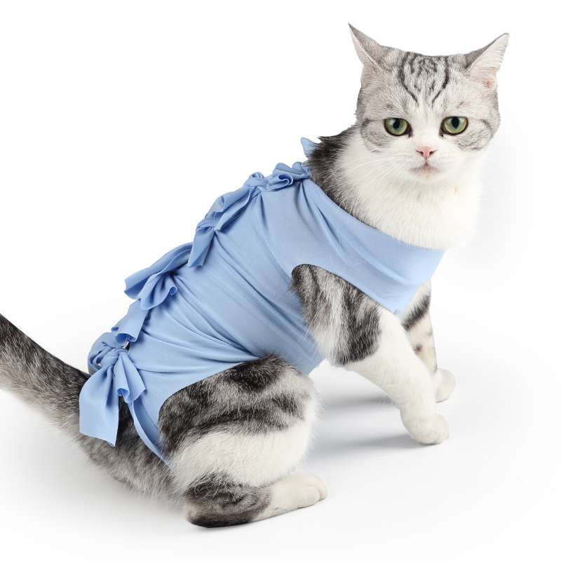 Cat Clothing Winter Jacket | Fluffy Bear Cat Hoodie