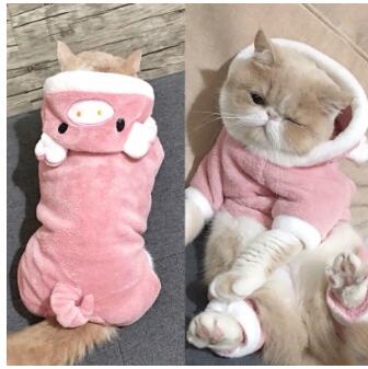 猫服 秋冬ぶた顔洋服 猫ちゃん用可愛いトレーナー
