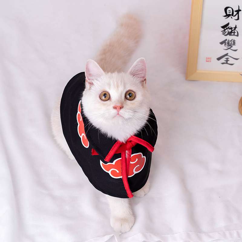 https://fulmo-img-server.com/nekohapi/3e9034d81ba244e2be67f139f697075b.jepg