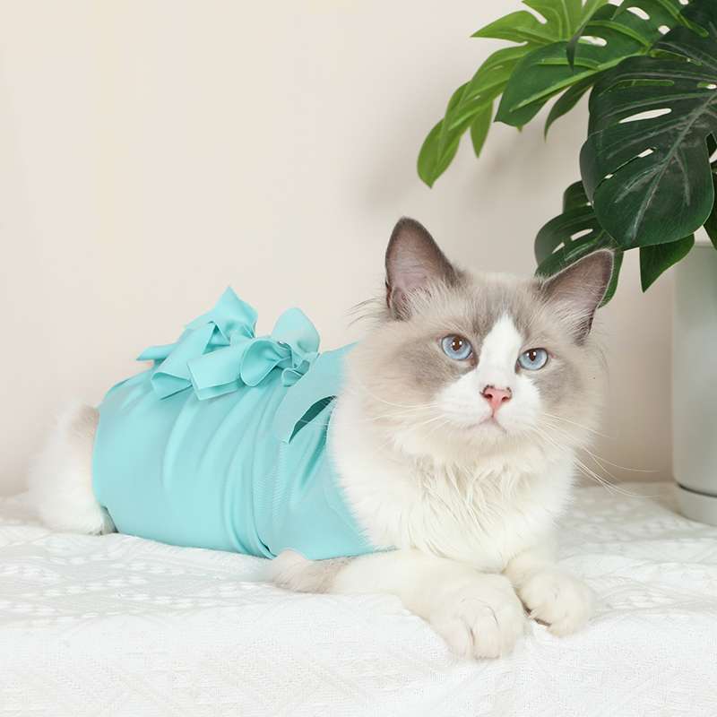 Cat Clothing Winter Jacket | Fluffy Cat Winter Hoodie