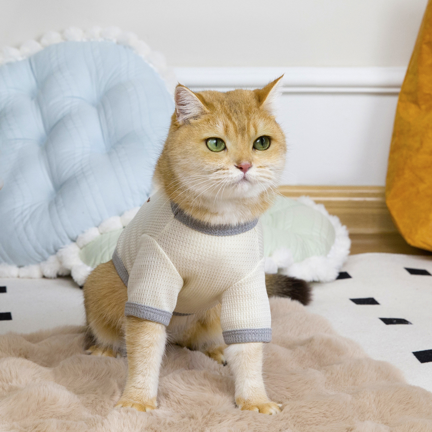 猫服 愛らしい動物刺繍の編み地ニット猫用洋服