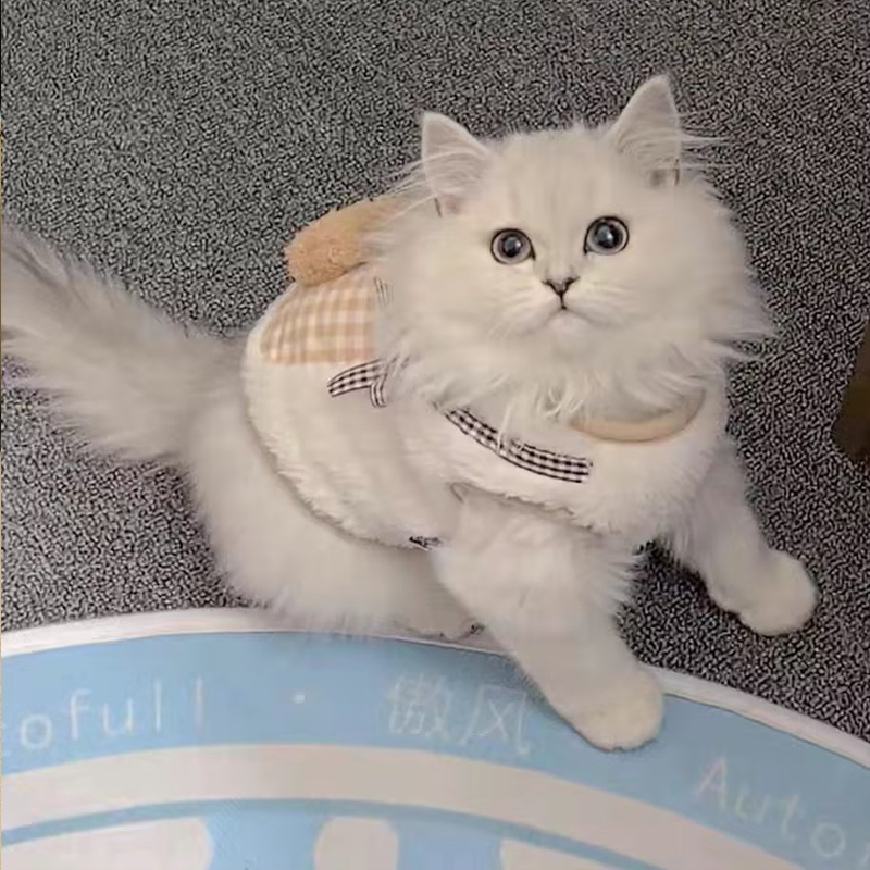 猫服 ふわもこ くまさん背負い防寒着