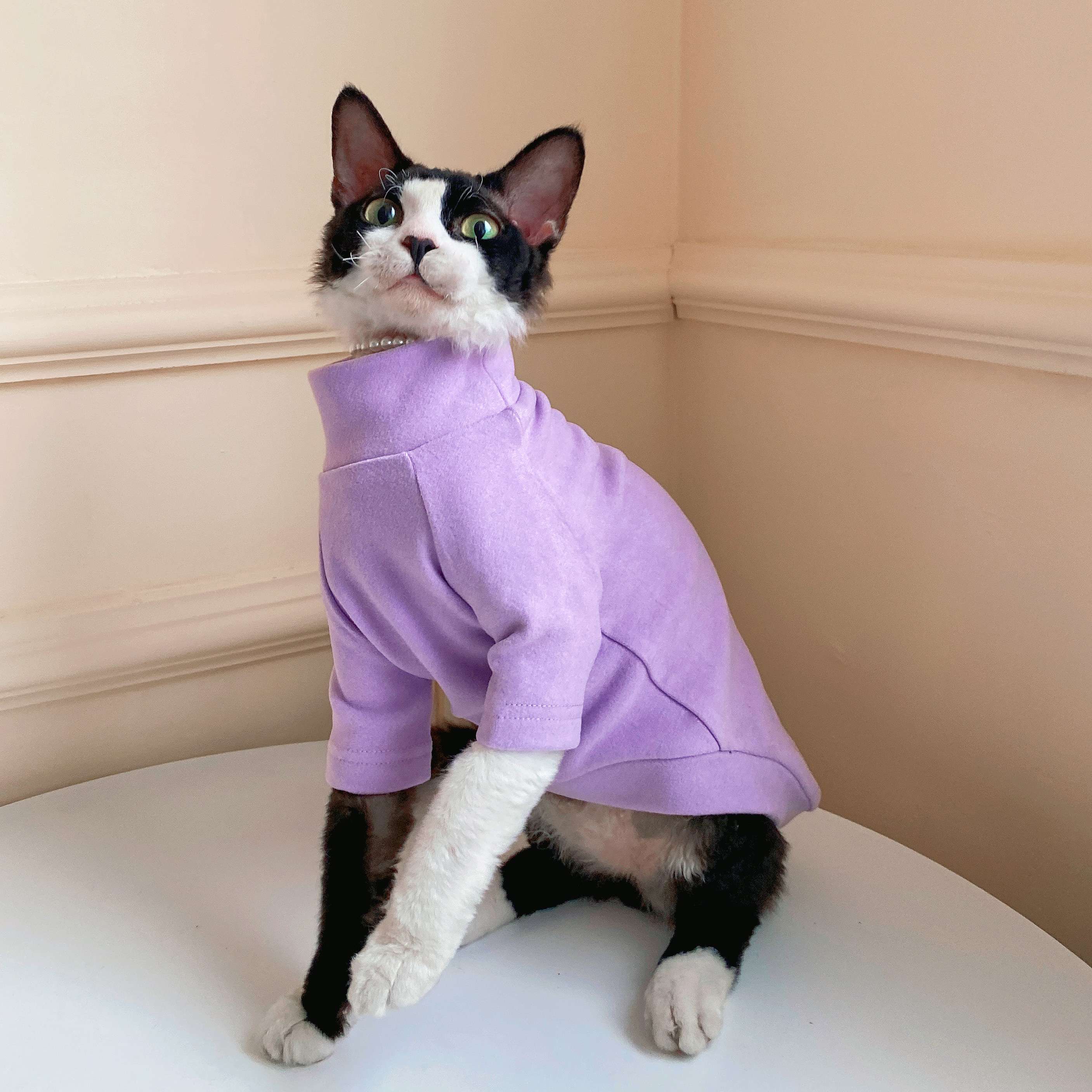 Cat Clothing Clothing | Cat Plaid Cape