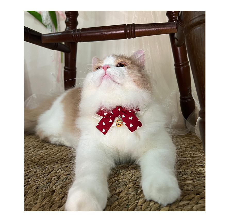 猫服 縁起福文字チャーム付き和風リボン首輪