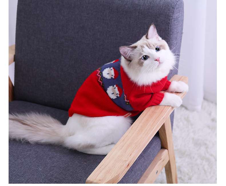 猫 コスプレ | クリスマス柄猫用ニットセーター