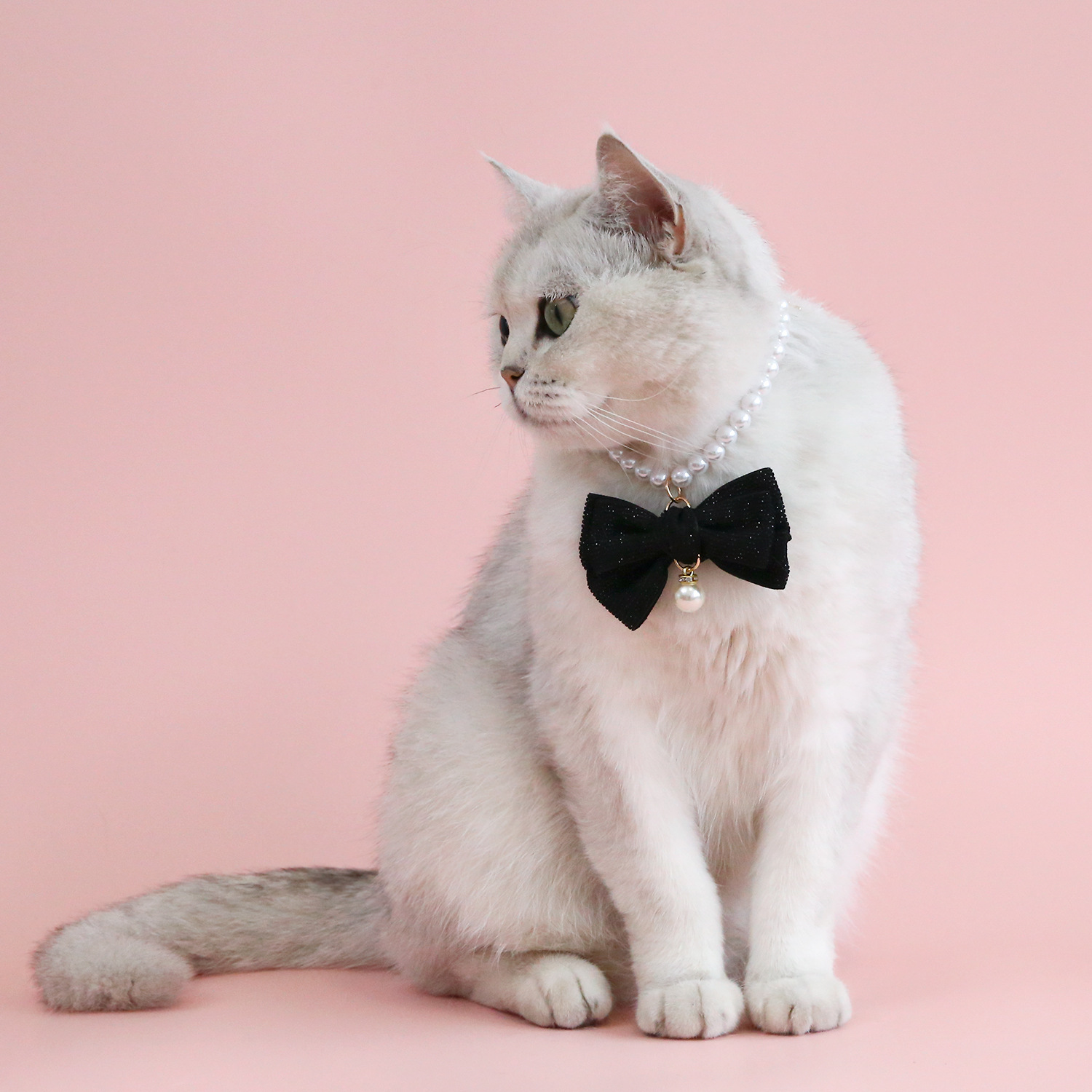 猫服 真珠とリボンの上品な猫用首輪