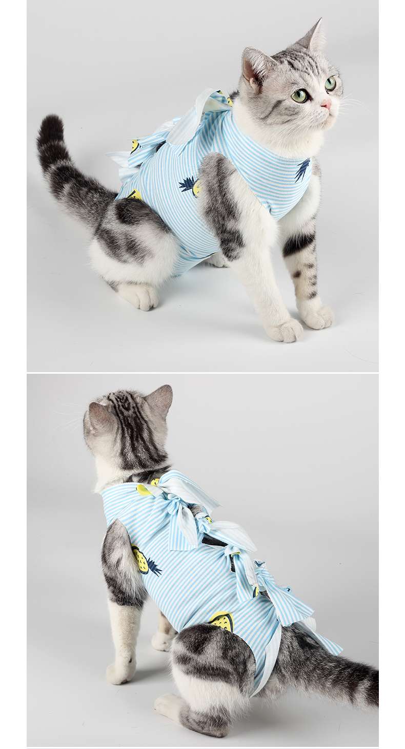 Cat Clothing Recovery Suit | Fluffy Cat’s Gentle Post-Op Wear