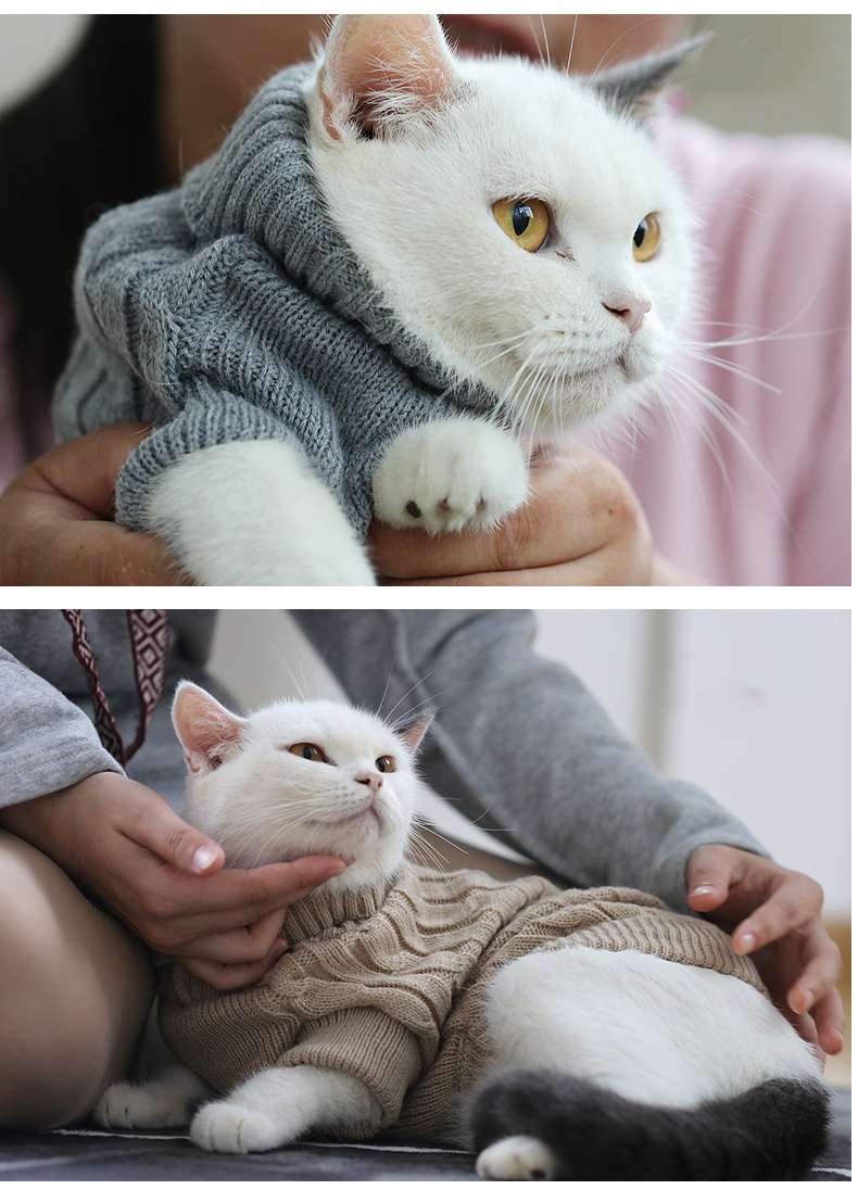 Cat Clothing Sphinx | Warm Border Wear for Cats