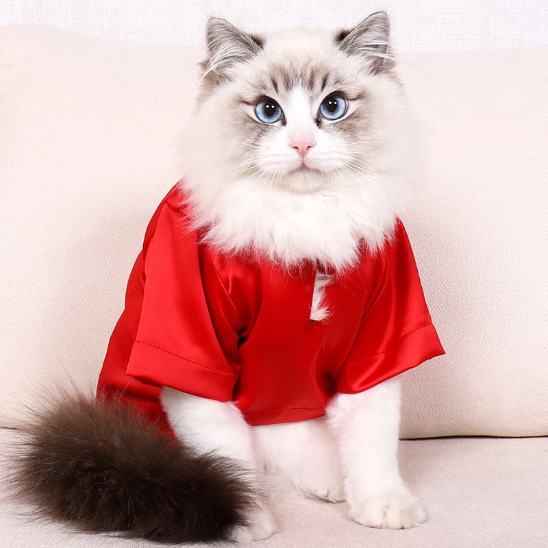 https://fulmo-img-server.com/nekohapi/4aca19cb-dcce-43c2-9eb4-09f4898b91d6.jpg
