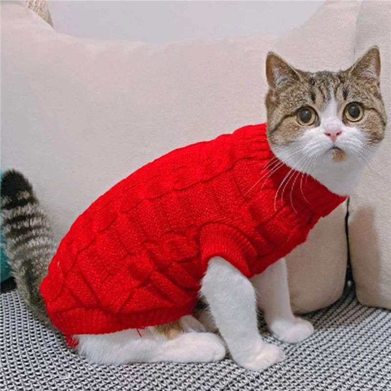 Cat Clothing Clothing | Fluffy Cat Dress Coat