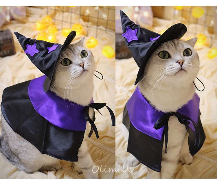 猫服  ハロウィン魔法使い猫コスチュームセット