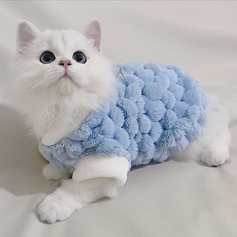 https://fulmo-img-server.com/nekohapi/50183c2d46294ed7bd79c04022056670.jepg