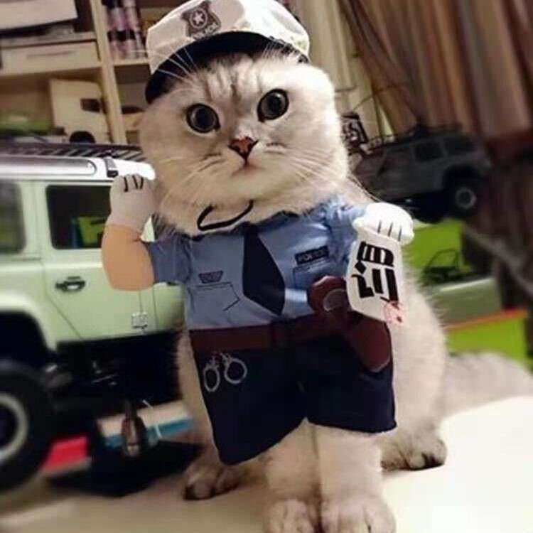 猫服 コスプレ | ネコ用警察官制服コスプレセット