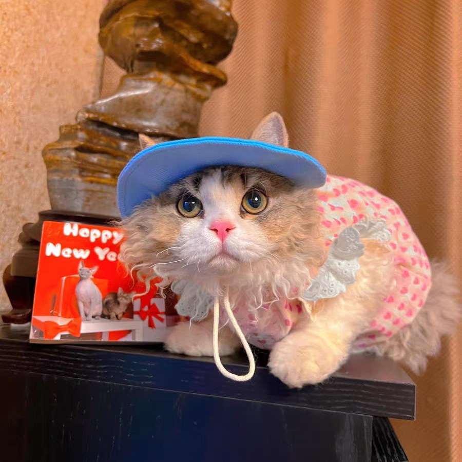 猫服 ハートレース お出かけワンピース