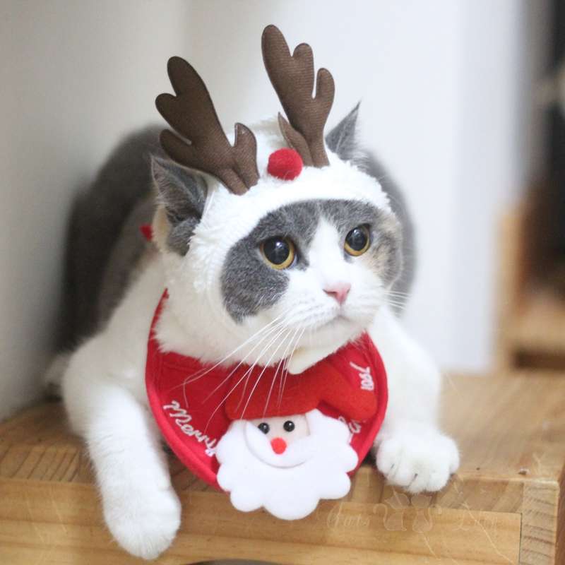 猫服 コスプレ | クリスマス猫コスチュームセット