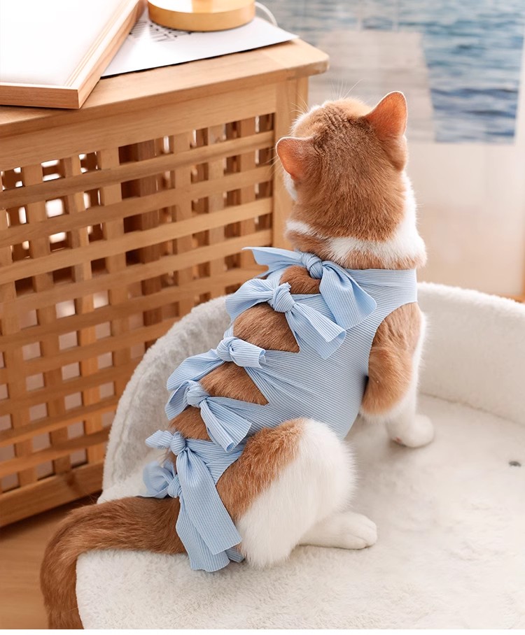 猫服 やさしいリボン結び術後服