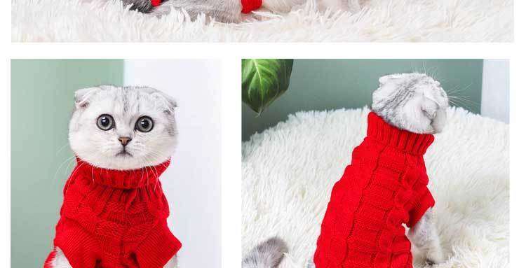 Cat Clothing Clothing | Fluffy Cat Dress Coat