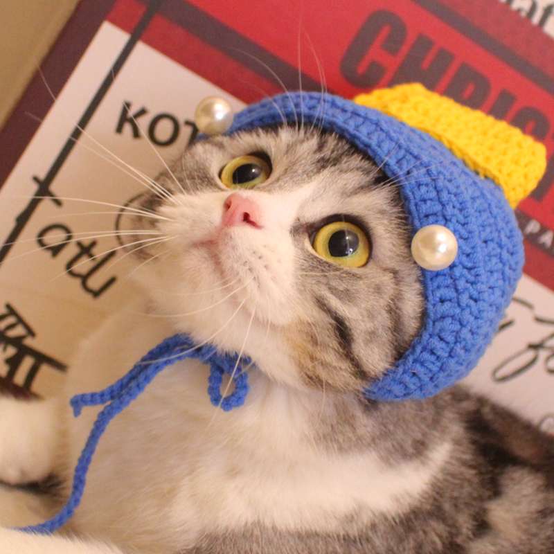 Cat Clothing Hats | Hamburger Cat Hat