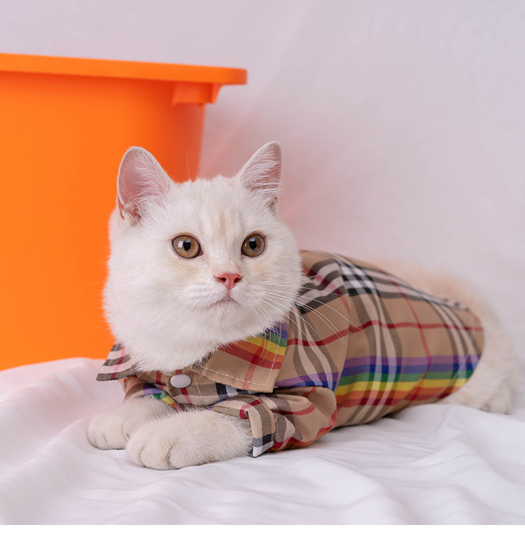 https://fulmo-img-server.com/nekohapi/542a88ff-66e2-4dba-8f4f-f29eefb4e934.jpg