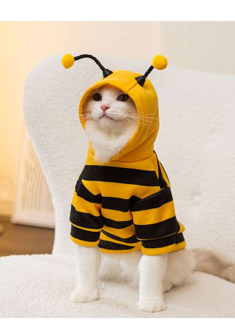 https://fulmo-img-server.com/nekohapi/56213470562b402f8b1c90cef2f095d0.jepg