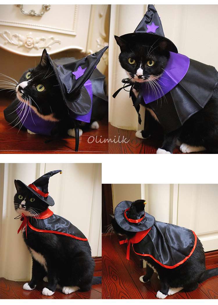 猫服  ハロウィン魔法使い猫コスチュームセット