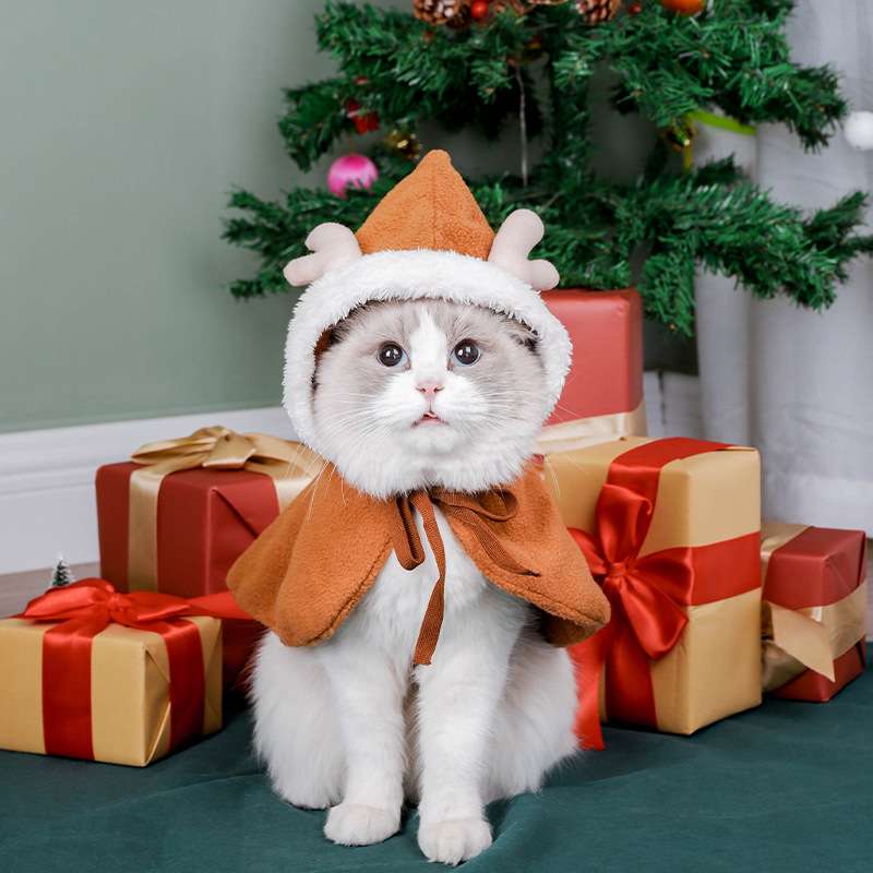 クリスマスにぴったりな猫服【5選】