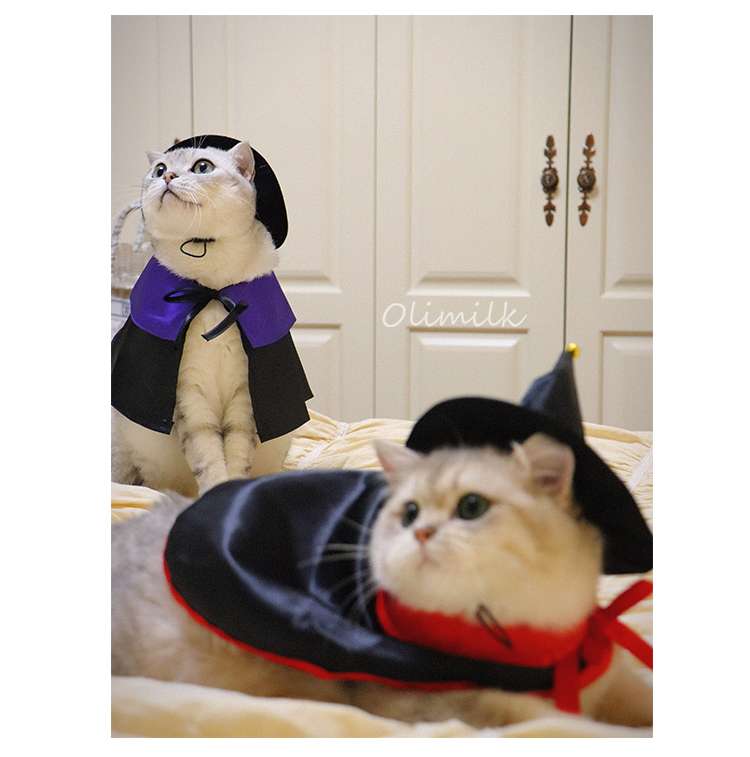 猫服  ハロウィン魔法使い猫コスチュームセット