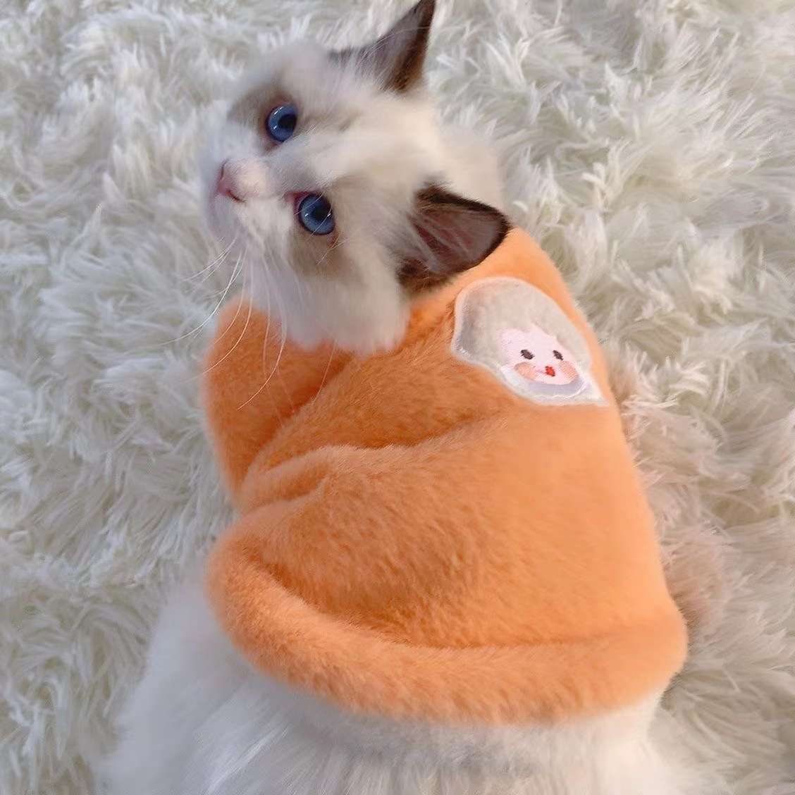 Cat Clothing Recovery Suit | Fluffy Healing Cat Post-Op Wear