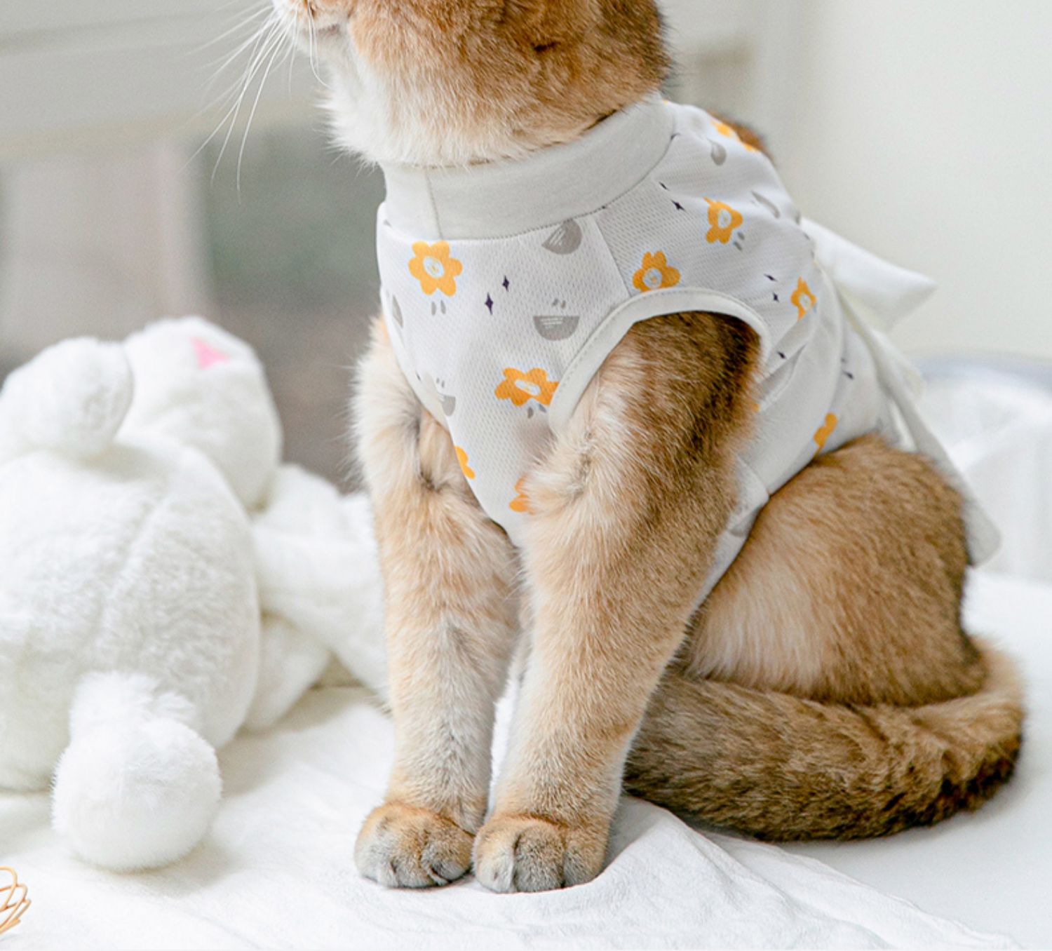 猫服 やさしい花柄の回復ウェア