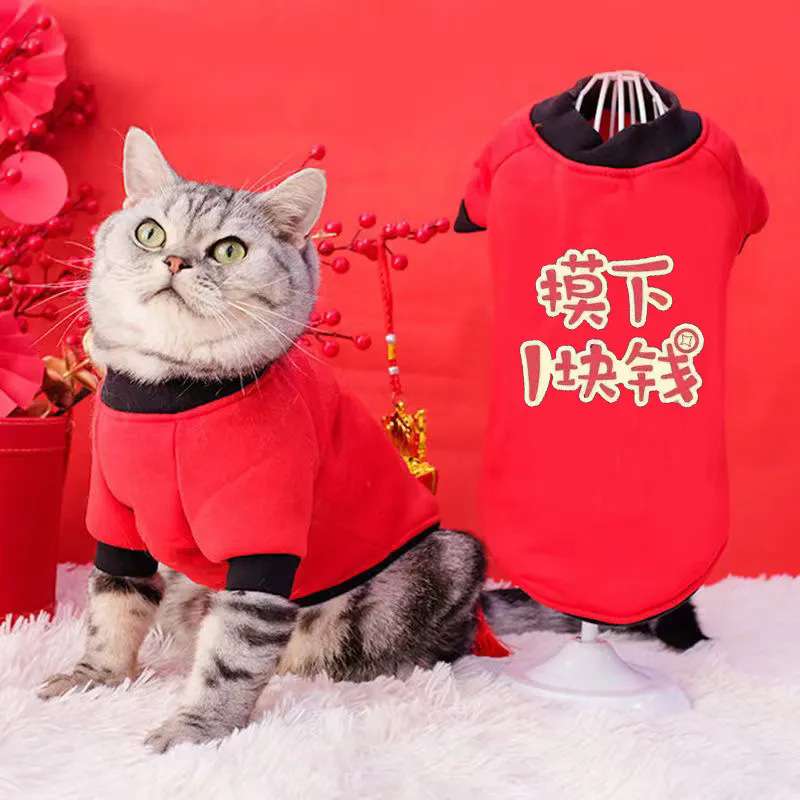 https://fulmo-img-server.com/nekohapi/5ac10fbcc10540788546a432398130c7.jepg