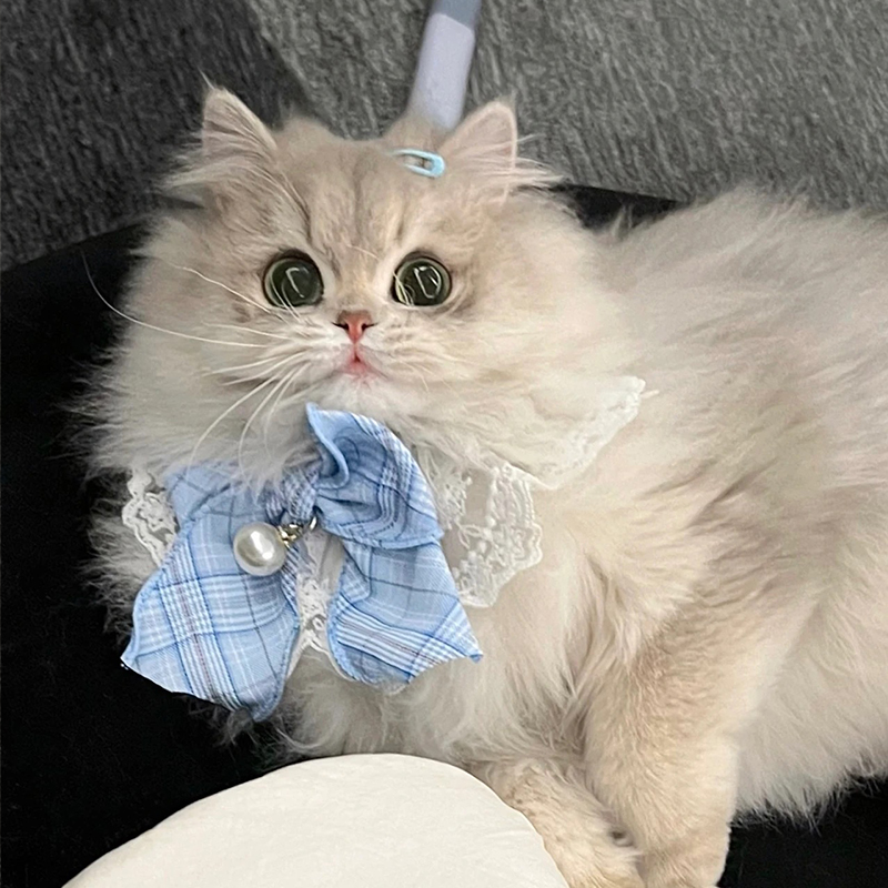 猫服 お姫様リボン首輪