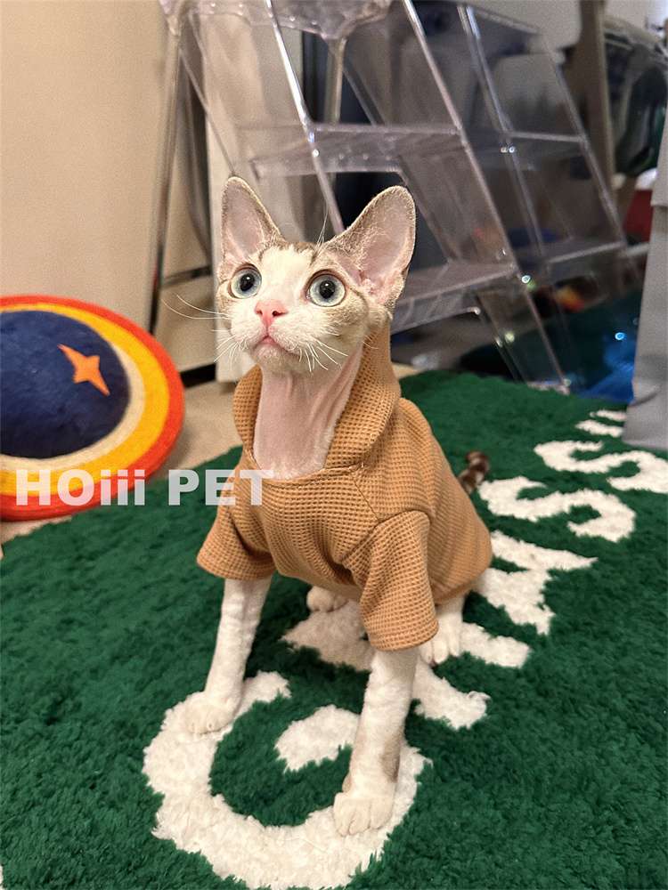 https://fulmo-img-server.com/nekohapi/5d1e22af860c437b999f1ac9ae089137.jepg