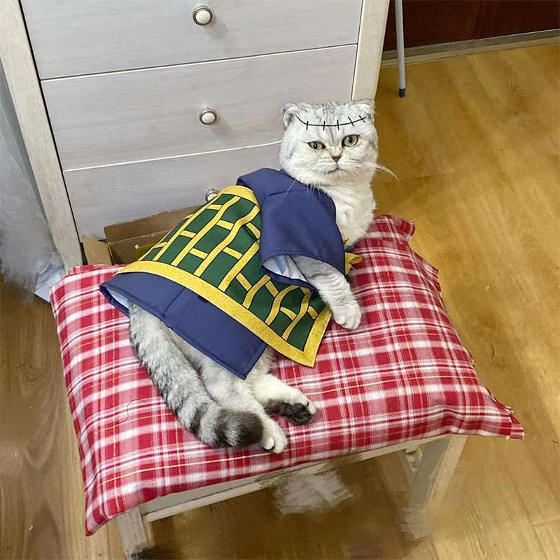 Cat Clothing Sphinx | Winter Warm Sphinx Cat Wear