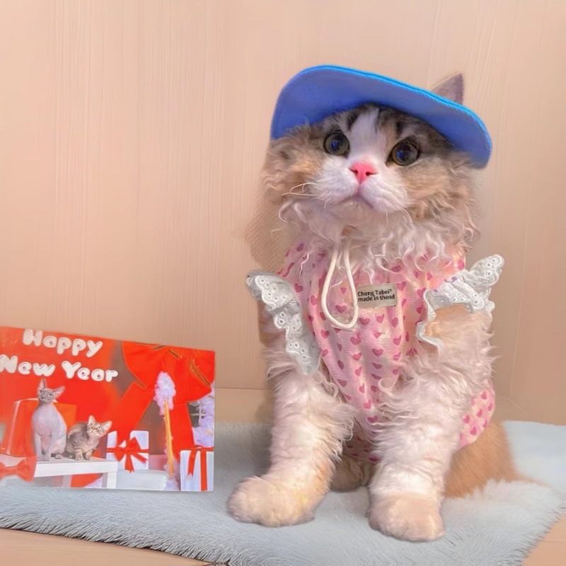 猫服 ハートレース お出かけワンピース