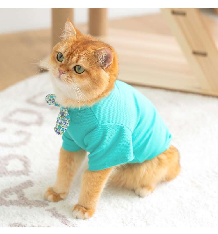 Cat Clothing Clothing | Fluffy Cat Fashion Border