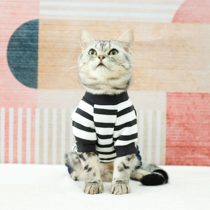 猫服 くまのぬいぐるみ刺繍ボーダートップス猫服