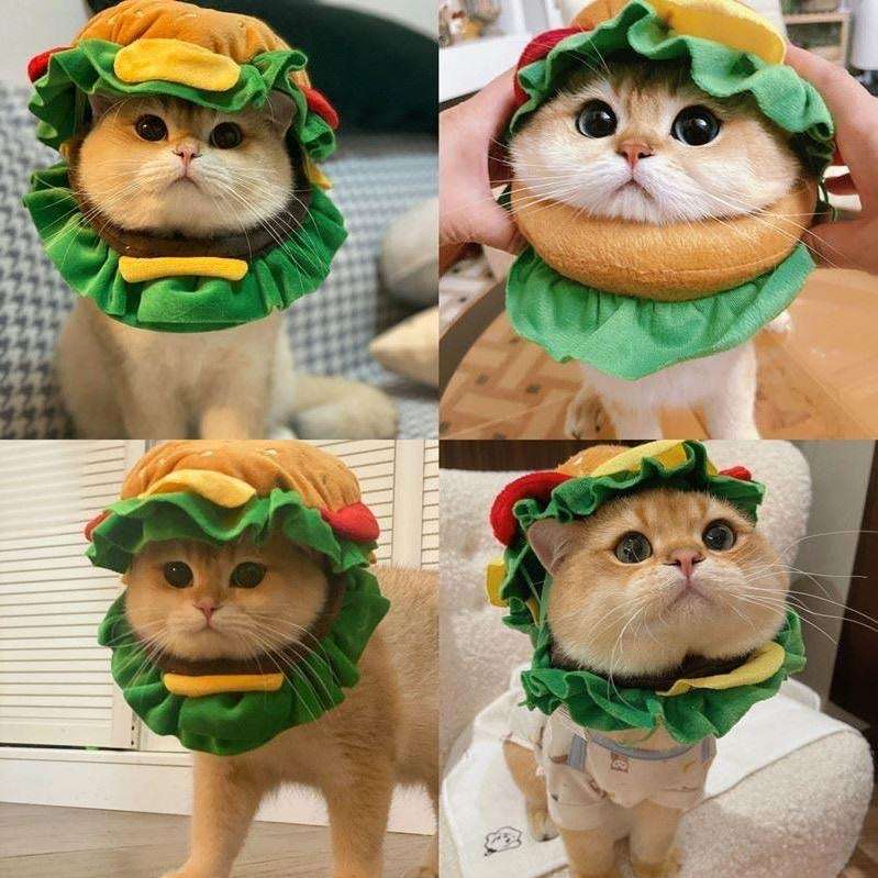 猫服 ハンバーガー風ペット用かぶりもの