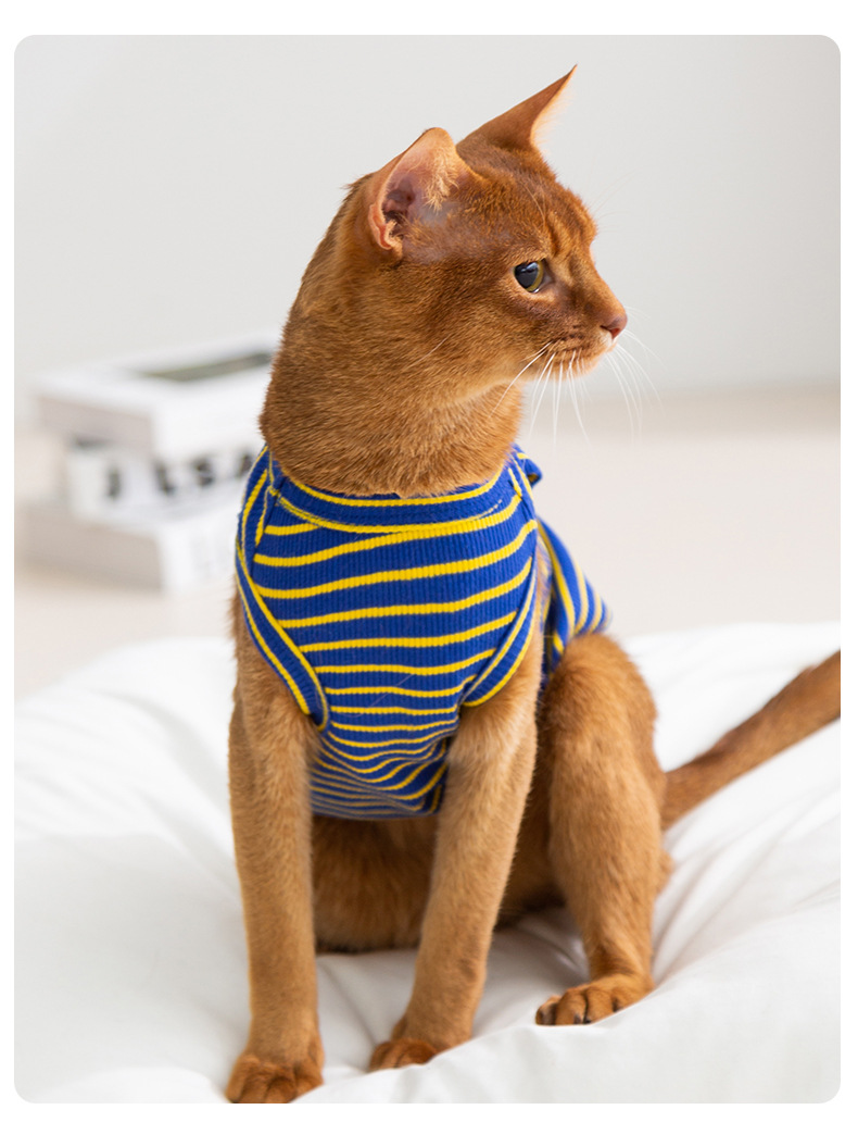 猫服 癒し系くまさんボーダー柄ノースリーブ服