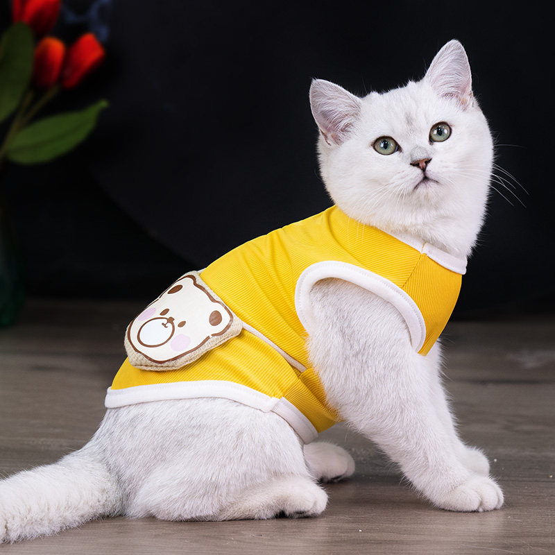 https://fulmo-img-server.com/nekohapi/612f73ff-5cea-464b-97bb-606cd1bf41f9.jpg