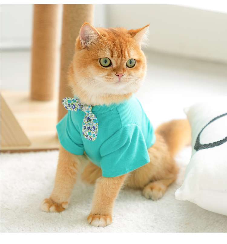 Cat Clothing Clothing | Fluffy Cat Fashion Border