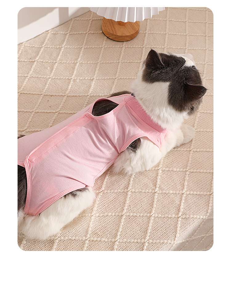 Cat Clothing Recovery Suit | Fluffy Cat Post-Op Wear