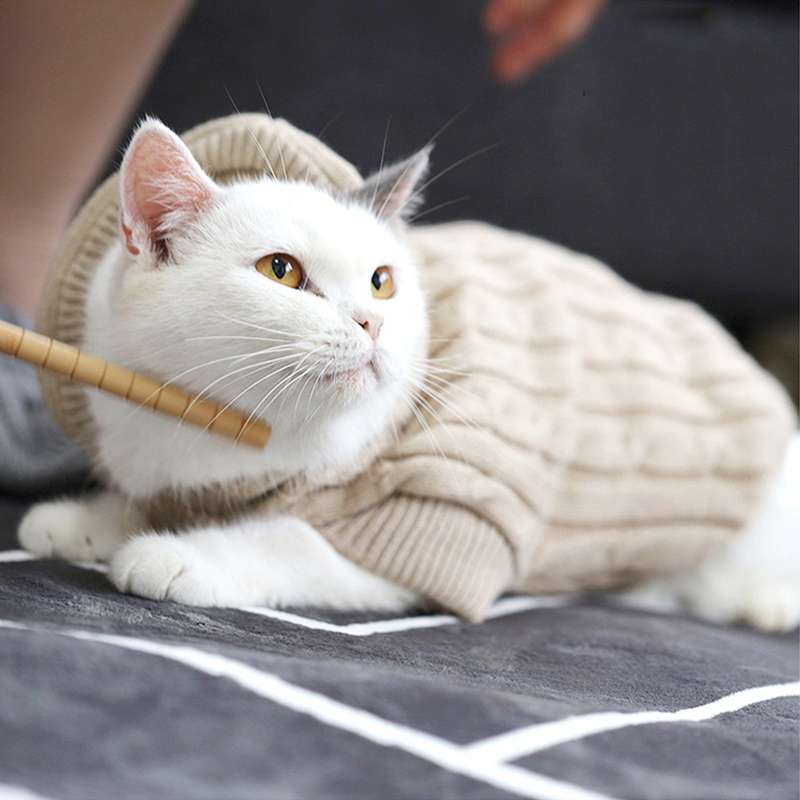 Cat Clothing Sphinx | Warm Border Wear for Cats