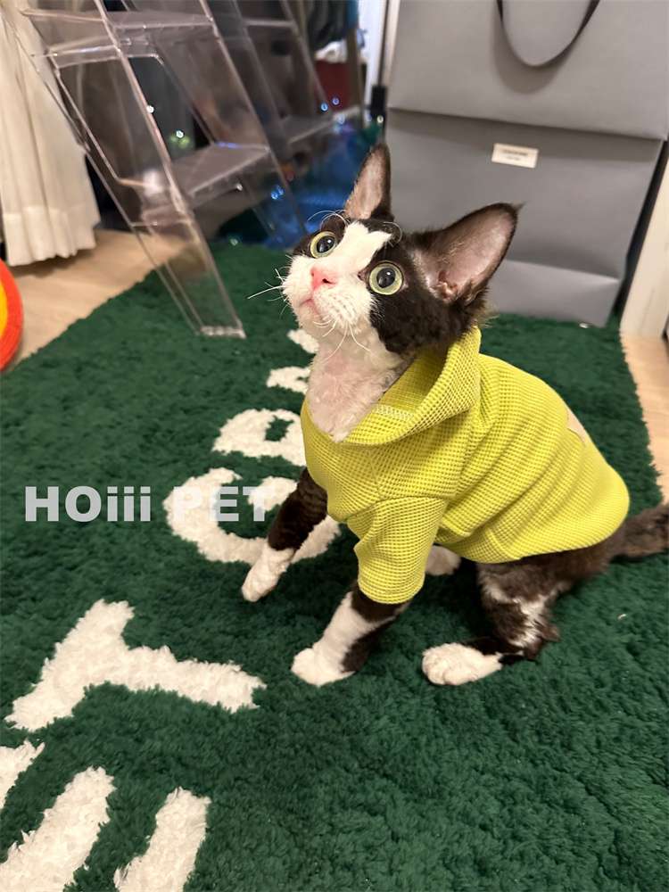 https://fulmo-img-server.com/nekohapi/62c92f0074b64a06932865cf904e2d57.jepg