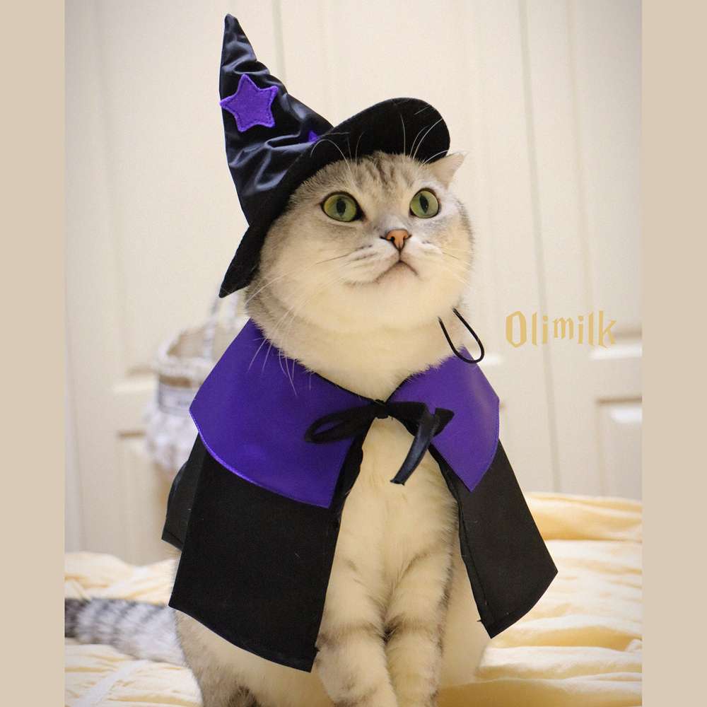 猫服  ハロウィン魔法使い猫コスチュームセット