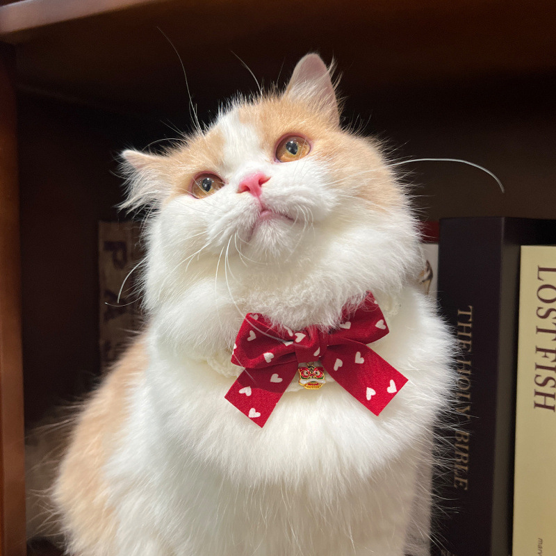 猫服 縁起福文字チャーム付き和風リボン首輪