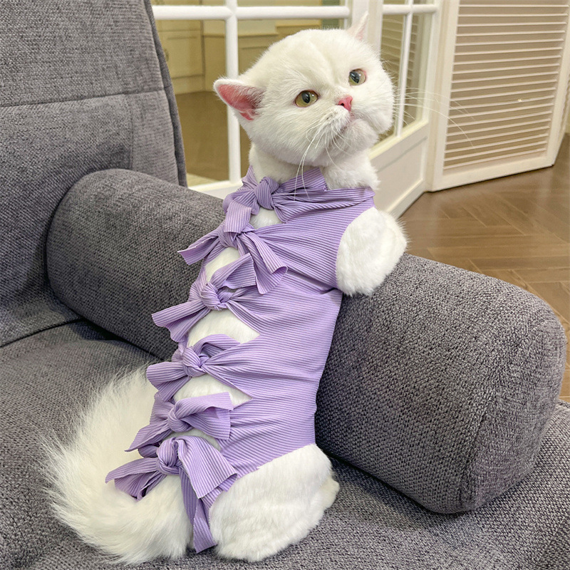 https://fulmo-img-server.com/nekohapi/638e733e-b900-47e6-b502-88236eb01785.jpg