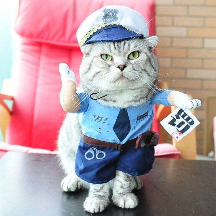 猫服 コスプレ | ネコ用警察官制服コスプレセット